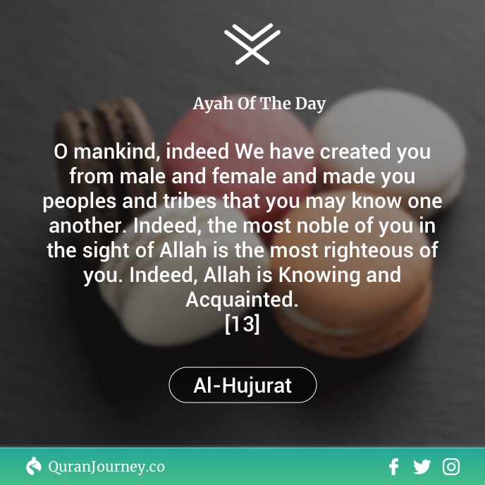 Quran Quote [4913] Equality Quran Journey